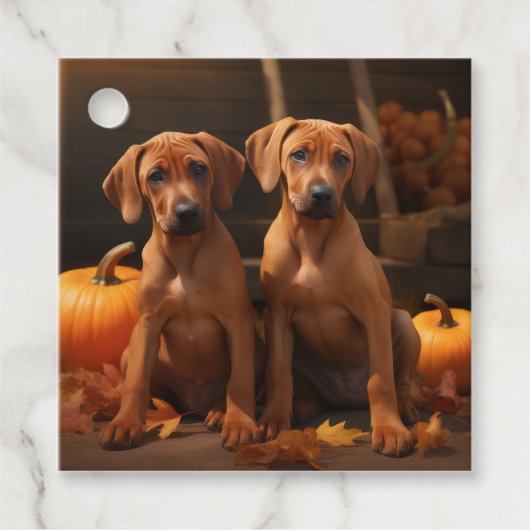 Rhodesian Ridgeback Pup Autumn Delight Pompoen Bedankjes Labels (Voorkant)