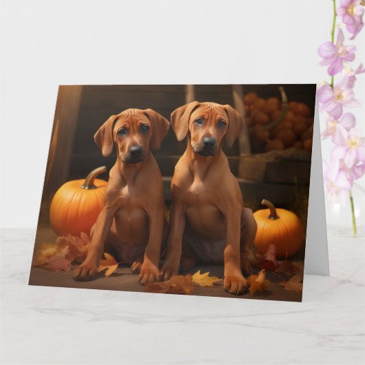 Rhodesian Ridgeback Pup Autumn Delight Pompoen  Kaart (Orchidee)