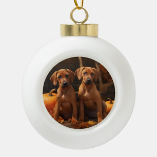 Rhodesian Ridgeback Pup Autumn Delight Pompoen  Keramische Bal Ornament