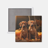 Rhodesian Ridgeback Pup Autumn Delight Pompoen Magneet (Voorkant / Achterkant)