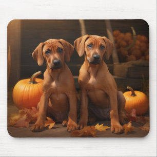 Rhodesian Ridgeback Pup Autumn Delight Pompoen  Muismat
