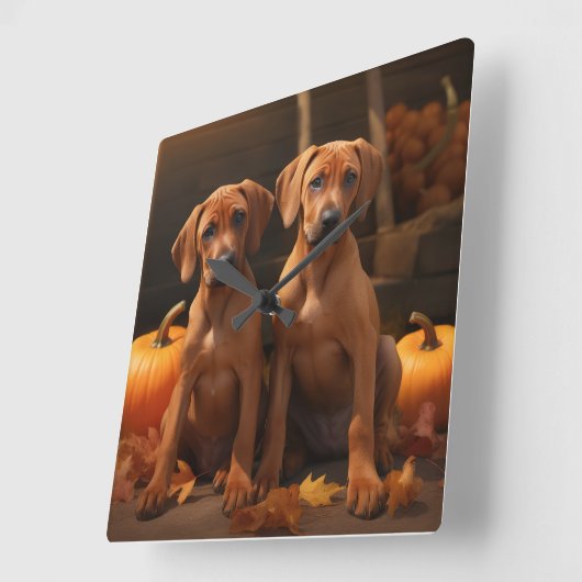 Rhodesian Ridgeback Pup Autumn Delight Pompoen Vierkante Klok (Hoek)