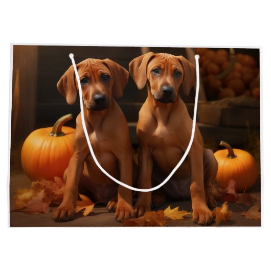Rhodesian Ridgeback Puppy Herfst Delight Pompoen Groot Cadeauzakje (Achterkant)
