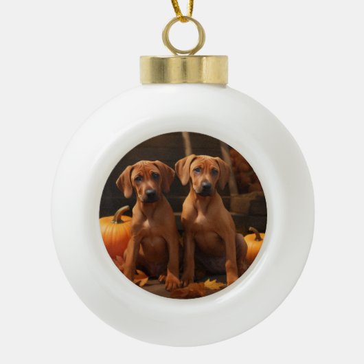 Rhodesian Ridgeback Puppy Herfst Delight Pompoen Keramische Bal Ornament (Voorkant)