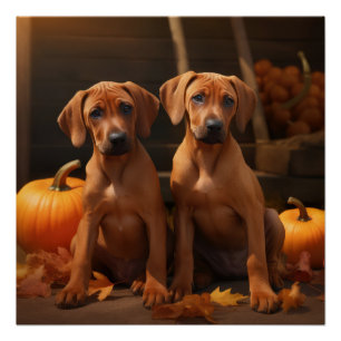 Rhodesian Ridgeback Puppy Herfst Delight Pompoen Perfect Poster