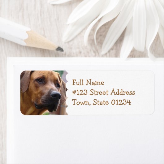 Rhodesian Ridgeback Retouradreslabel Etiket (Insitu)