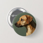 Rhodesian Ridgeback Ronde Button 5,7 Cm (Voorkant /achterkant)