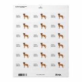 Rhodesian Ridgeback Schattige Afrikaanse Leeuw Hon Etiket (Full Sheet)