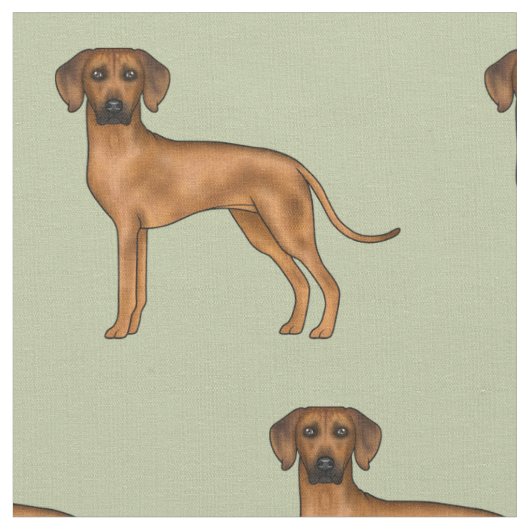 Rhodesian Ridgeback Schattige Afrikaanse Leeuw Hon Stof (Close Up)
