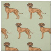 Rhodesian Ridgeback Schattige Afrikaanse Leeuw Hon Stof (Swatch)