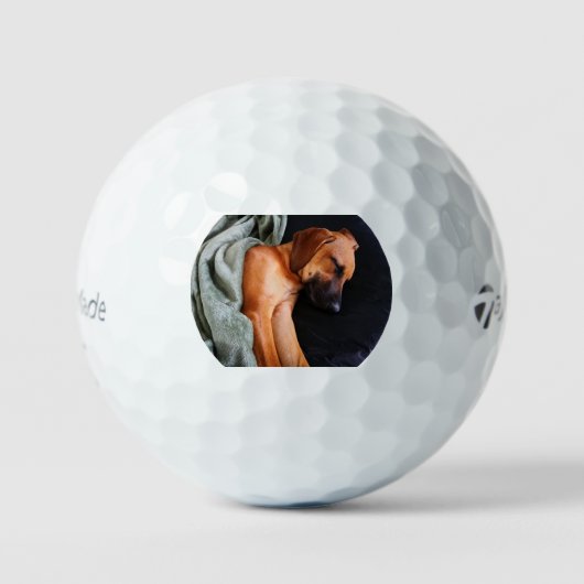 rhodesian-ridgeback-snuggy golfballen (Voorkant)