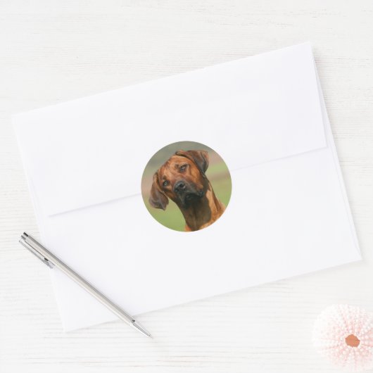 Rhodesian Ridgeback sticker (Envelop)