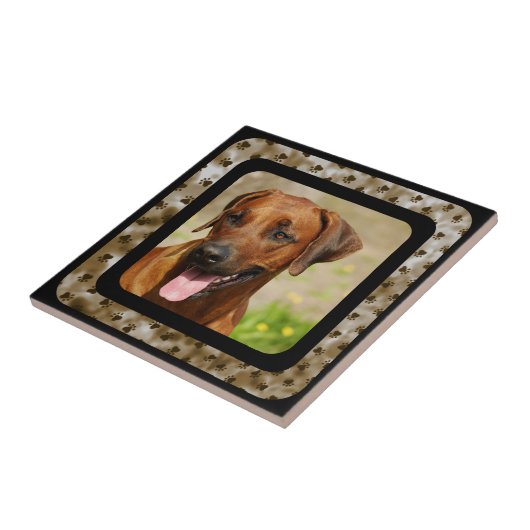 RHODESIAN RIDGEBACK TEGELTJE (Zijkant)