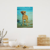 Rhodesian Ridgeback "Tony" glimlacht Poster (Keuken)