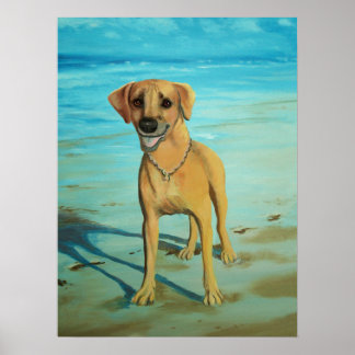 Rhodesian Ridgeback "Tony" glimlacht Poster