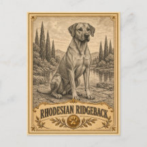 Rhodesian Ridgeback, Vintage Heritage Hond