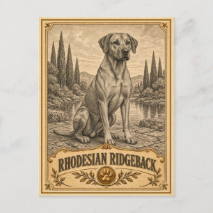 Rhodesian Ridgeback, Vintage Heritage Hond Briefkaart