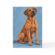 Rhodesian Ridgeback Wenskaart