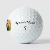 rhodesische ridgeback ligt plat golfballen (Logo)
