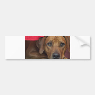 rhodezisch-ridgeback bumpersticker