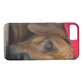 rhodezisch-ridgeback Case-Mate iPhone case (Achterkant (Horizontaal))