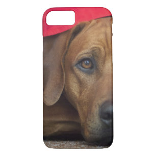 rhodezisch-ridgeback Case-Mate iPhone case
