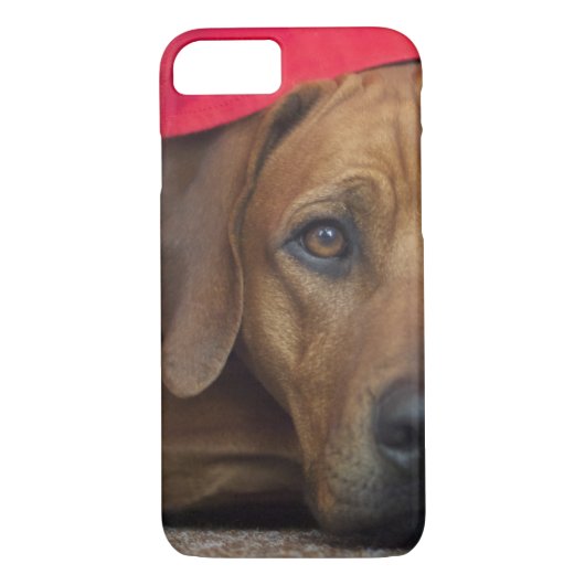 rhodezisch-ridgeback Case-Mate iPhone case (Achterkant)