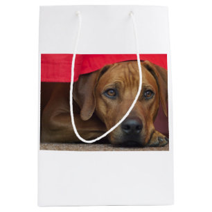 rhodezisch-ridgeback medium cadeauzakje