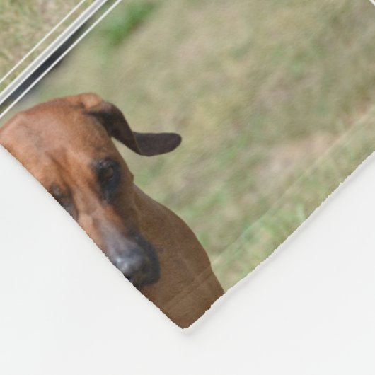 Rhodezische belastingtarieven fleece deken (Hoek)