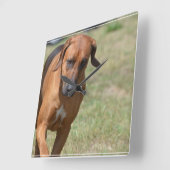 Rhodezische belastingtarieven vierkante klok (Hoek)