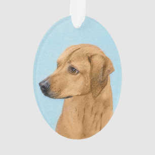 Rhodezische doorbelastingsschildering - Oorspronke Ornament