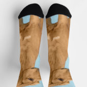 Rhodezische doorbelastingsschildering - Oorspronke Sokken (Top)