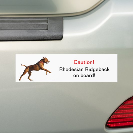 Rhodezische ingeblikkerbumper sticker (Op auto)