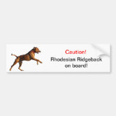Rhodezische ingeblikkerbumper sticker (Voorkant)