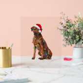 Rhodezische kerstverlichting met racistische racis acryl bord (Huwelijk)