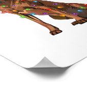 Rhodezische kerstverlichting met racistische racis poster (Hoek)