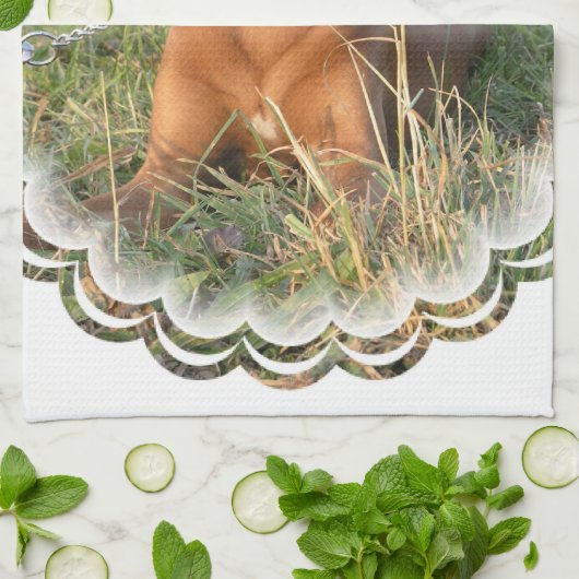 Rhodezische keukenhanddoek voor herbergen (Gevouwen)