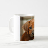 Rhodezische mok van de Ridgeback-overslag (Voorkant links)