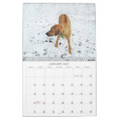 Rhodezische Ridgeback Calendar 2018 Kalender (Jan 2027)