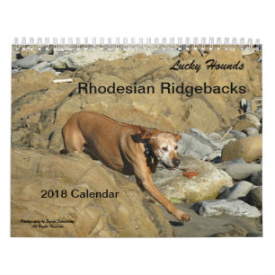 Rhodezische Ridgeback Calendar 2018 Kalender