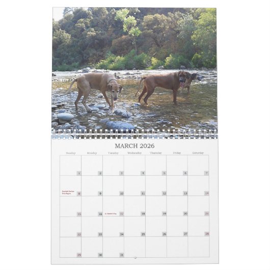 Rhodezische Ridgeback Calendar 2018 Kalender (Mar 2026)