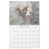 Rhodezische Ridgeback Calendar 2018 Kalender (Feb 2026)