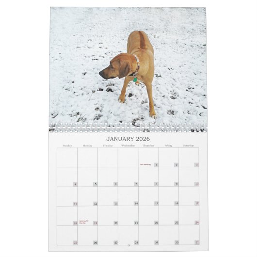 Rhodezische Ridgeback Calendar 2018 Kalender (Jan 2026)