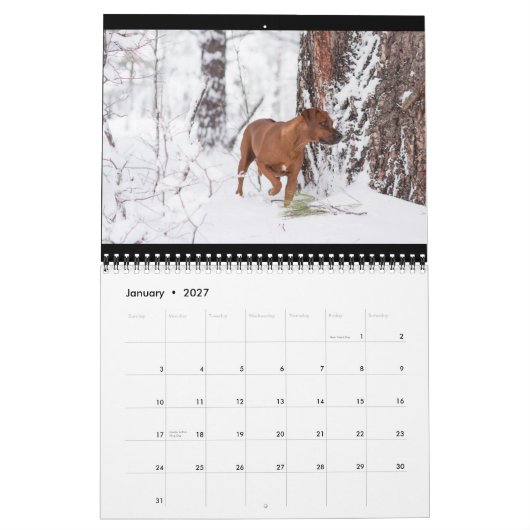 Rhodezische Ridgeback Calendar 2018 Kalender (Jan 2027)