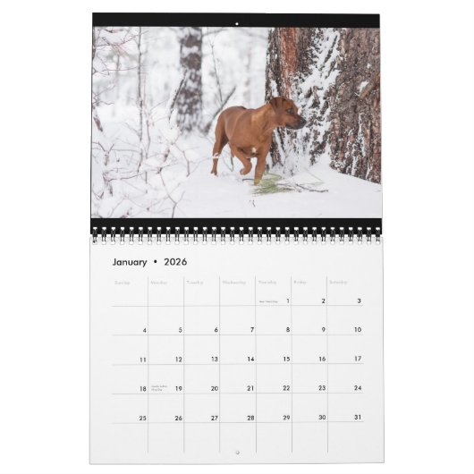 Rhodezische Ridgeback Calendar 2018 Kalender (Jan 2026)