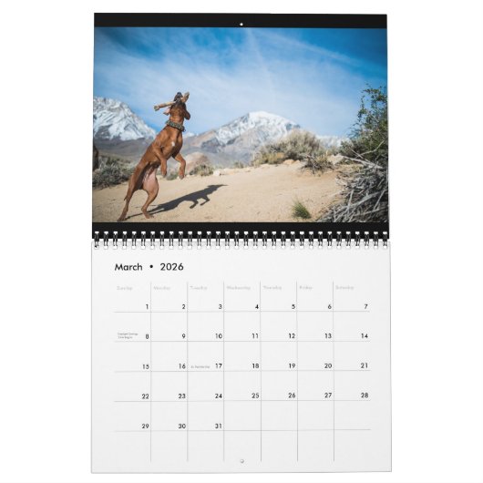 Rhodezische Ridgeback Calendar 2018 Kalender (Mar 2026)