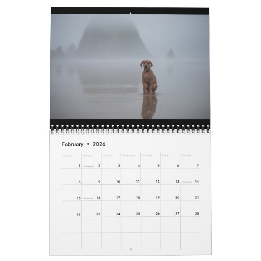 Rhodezische Ridgeback Calendar 2018 Kalender (Feb 2026)