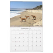 Rhodezische Ridgeback Calendar 2019 Going Places Kalender (Feb 2027)