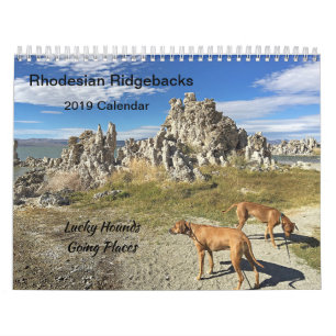 Rhodezische Ridgeback Calendar 2019 Going Places Kalender