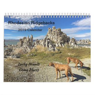 Rhodezische Ridgeback Calendar 2019 Going Places Kalender